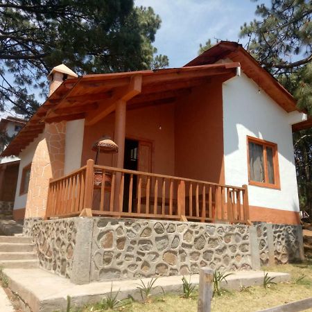 Villa Cabanas Del Bosque Mazamitla Exterior foto