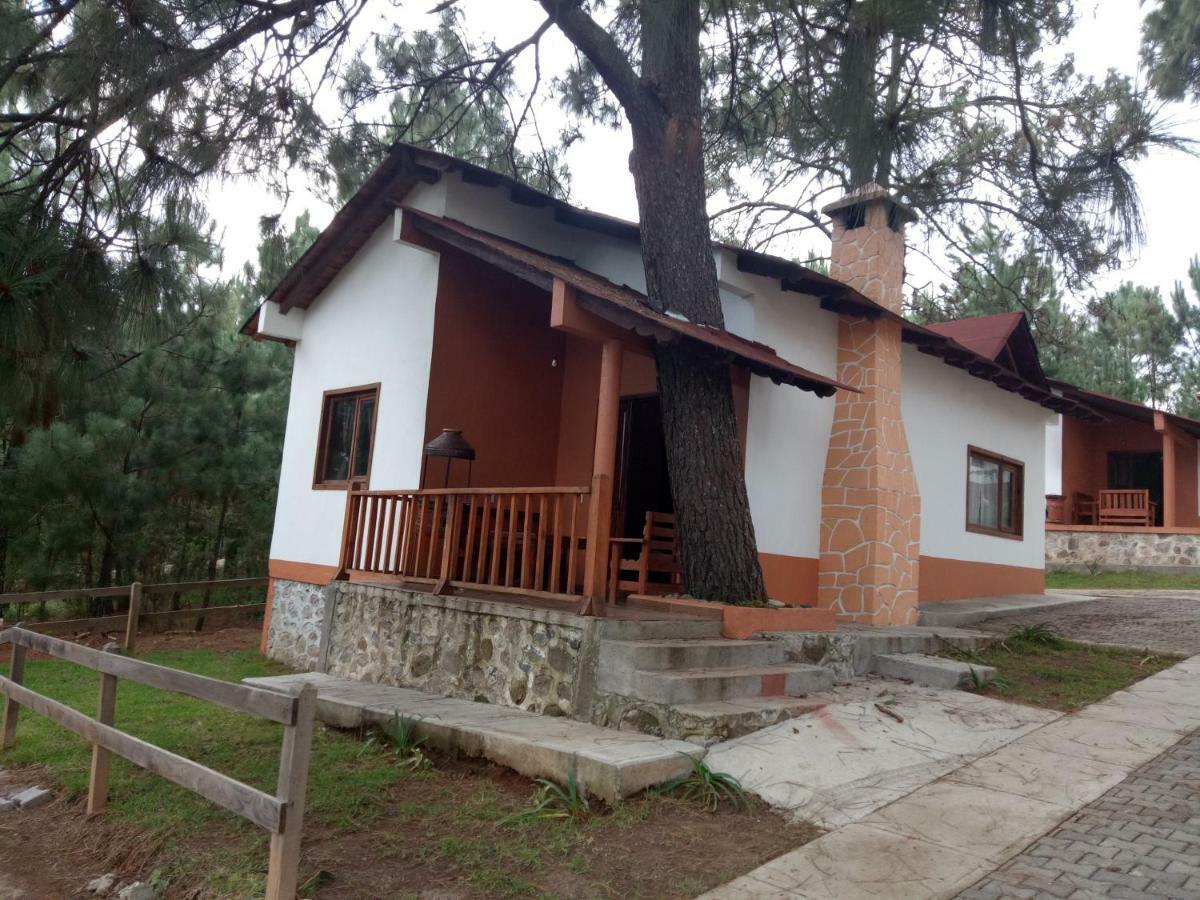 Villa Cabanas Del Bosque Mazamitla Exterior foto